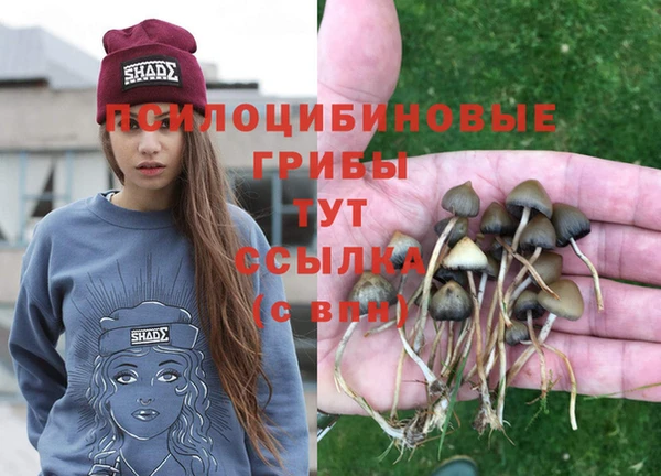 спиды Алзамай