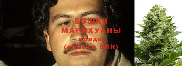 бошки Алексин