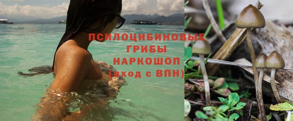 гашиш Алексеевка