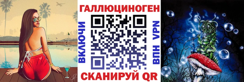 закладки  блэк спрут как войти  Галлюциногенные грибы прущие грибы  Нестеров 